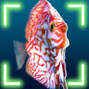 Snapshot Aquarium logo